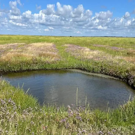 6 Person In Ribe-by Traum *