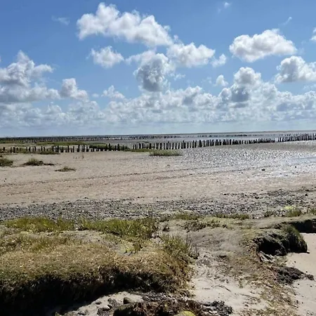 6 Person In Ribe-by Traum