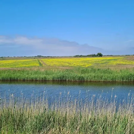 6 Person In Ribe-by Traum * Ribe