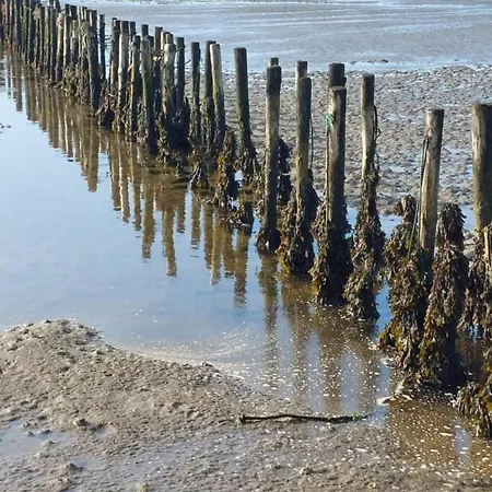 Holiday home 6 Person In Ribe-by Traum Ribe